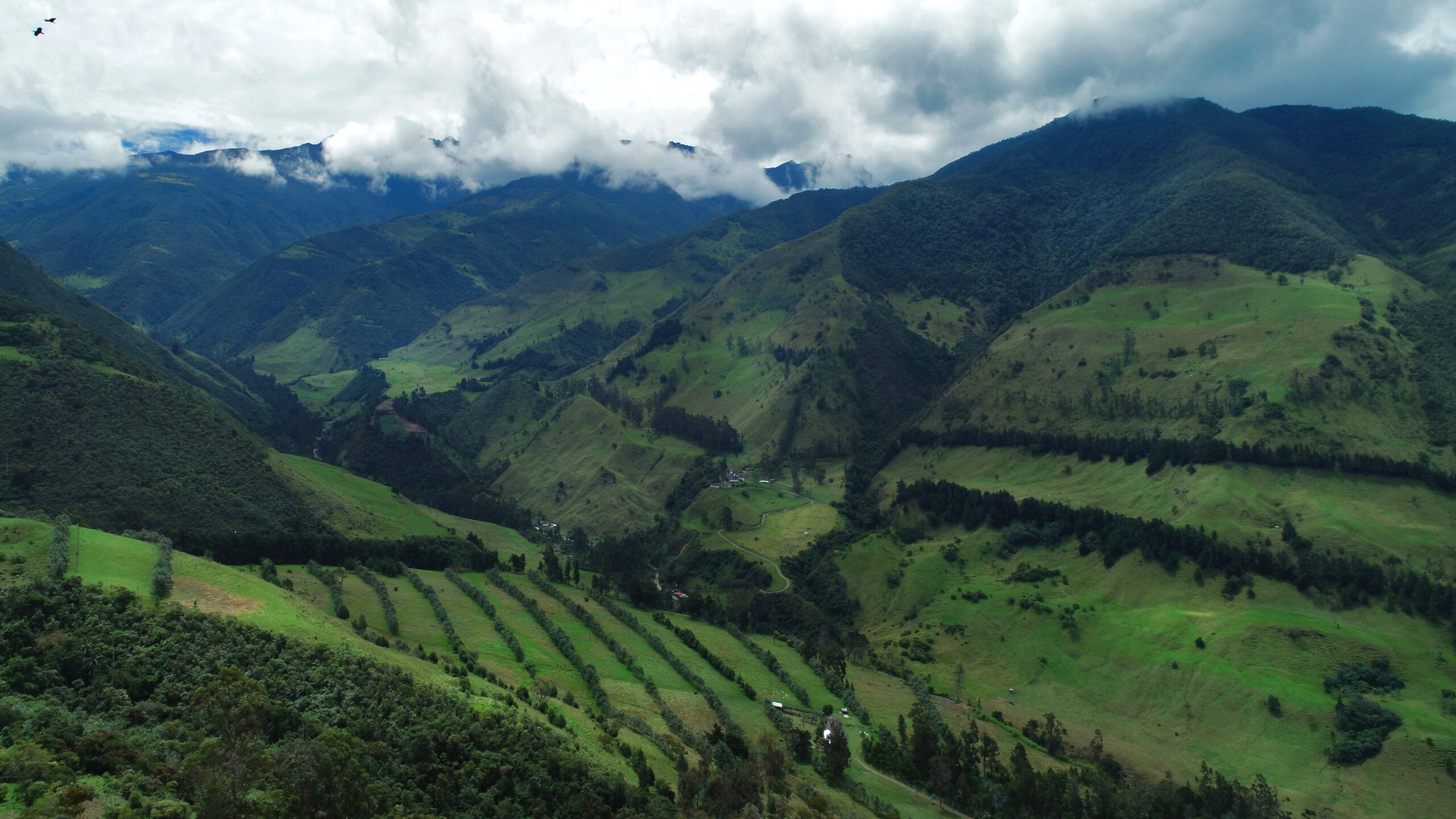 Paisaje combia. Paisaje combia.